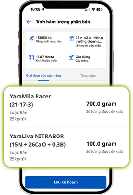 Tính toán phân bón