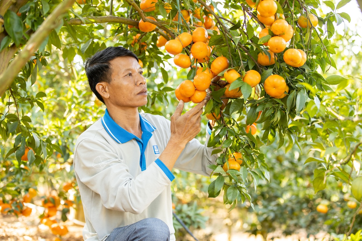 Ông Trương Văn Lưu