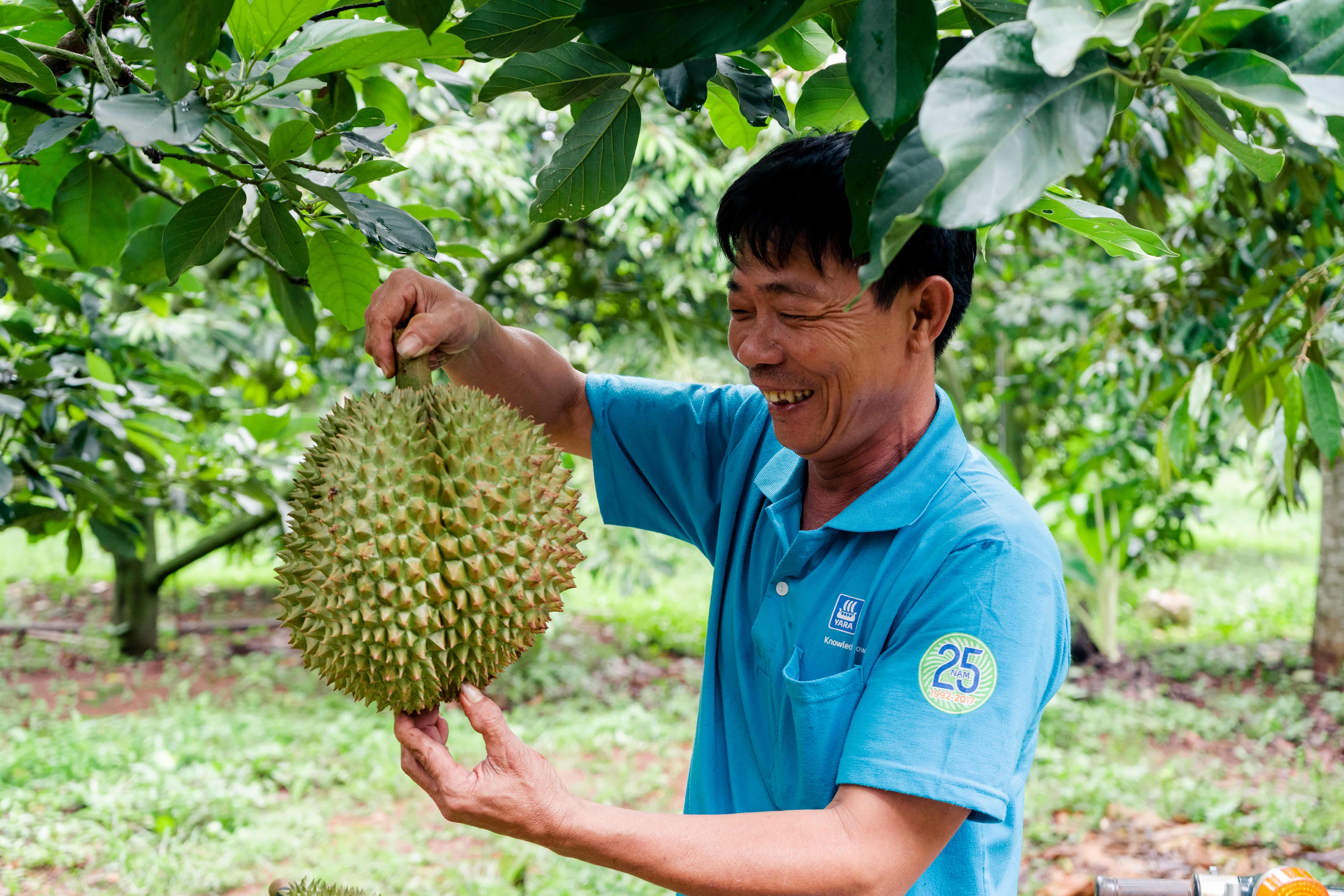 Giải pháp cây trồng