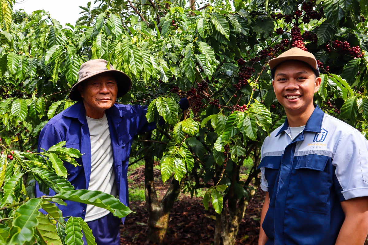 Nguyễn Bình Đông