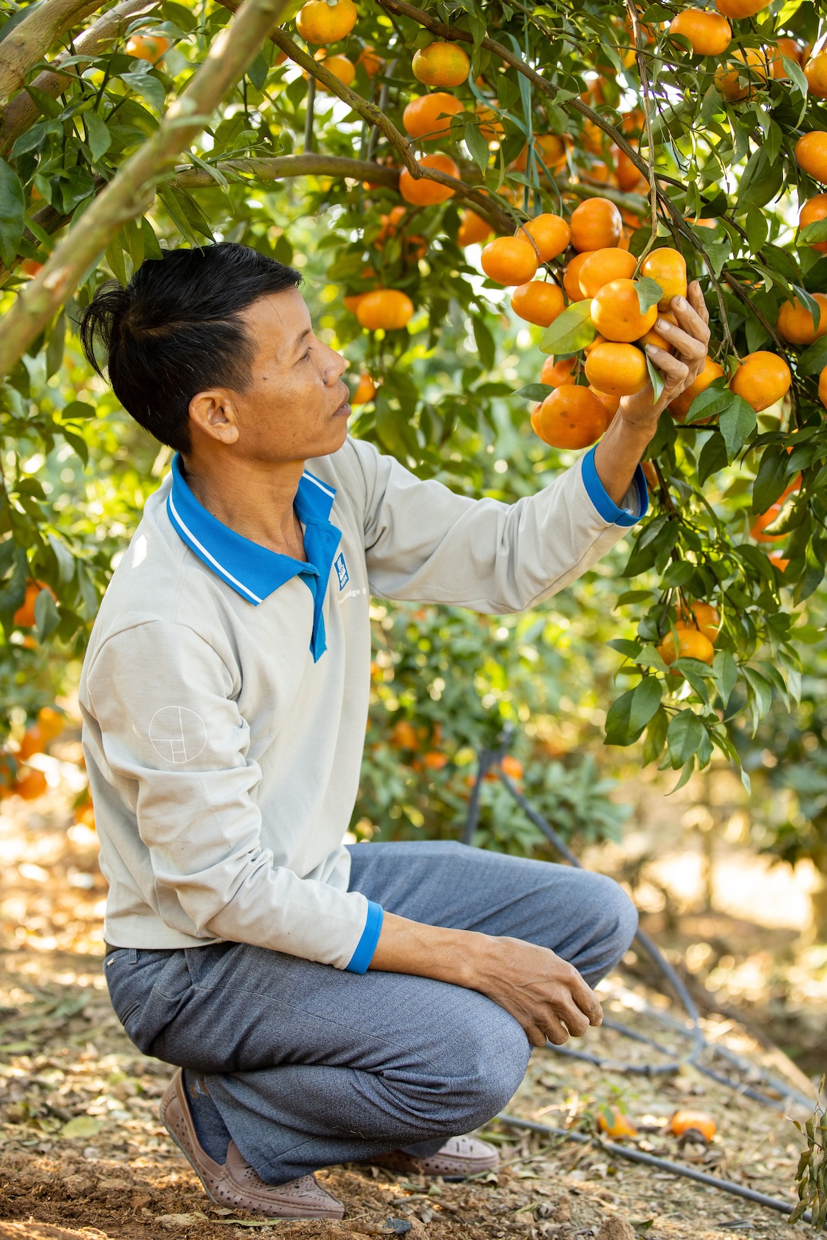 Ông Trương Văn Lưu