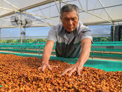 Ông Nguyễn Bình Đông
