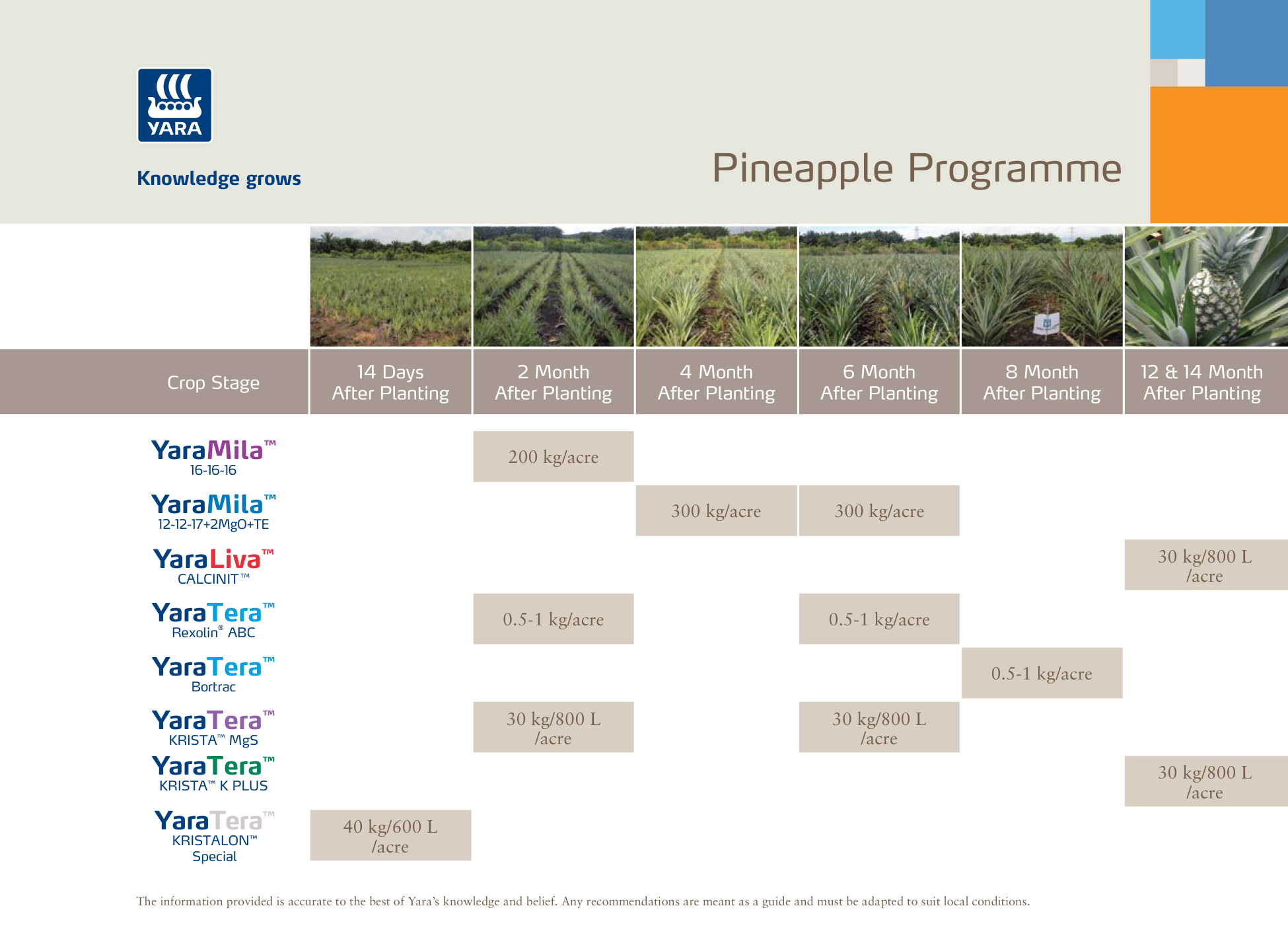 Pineapple crop program