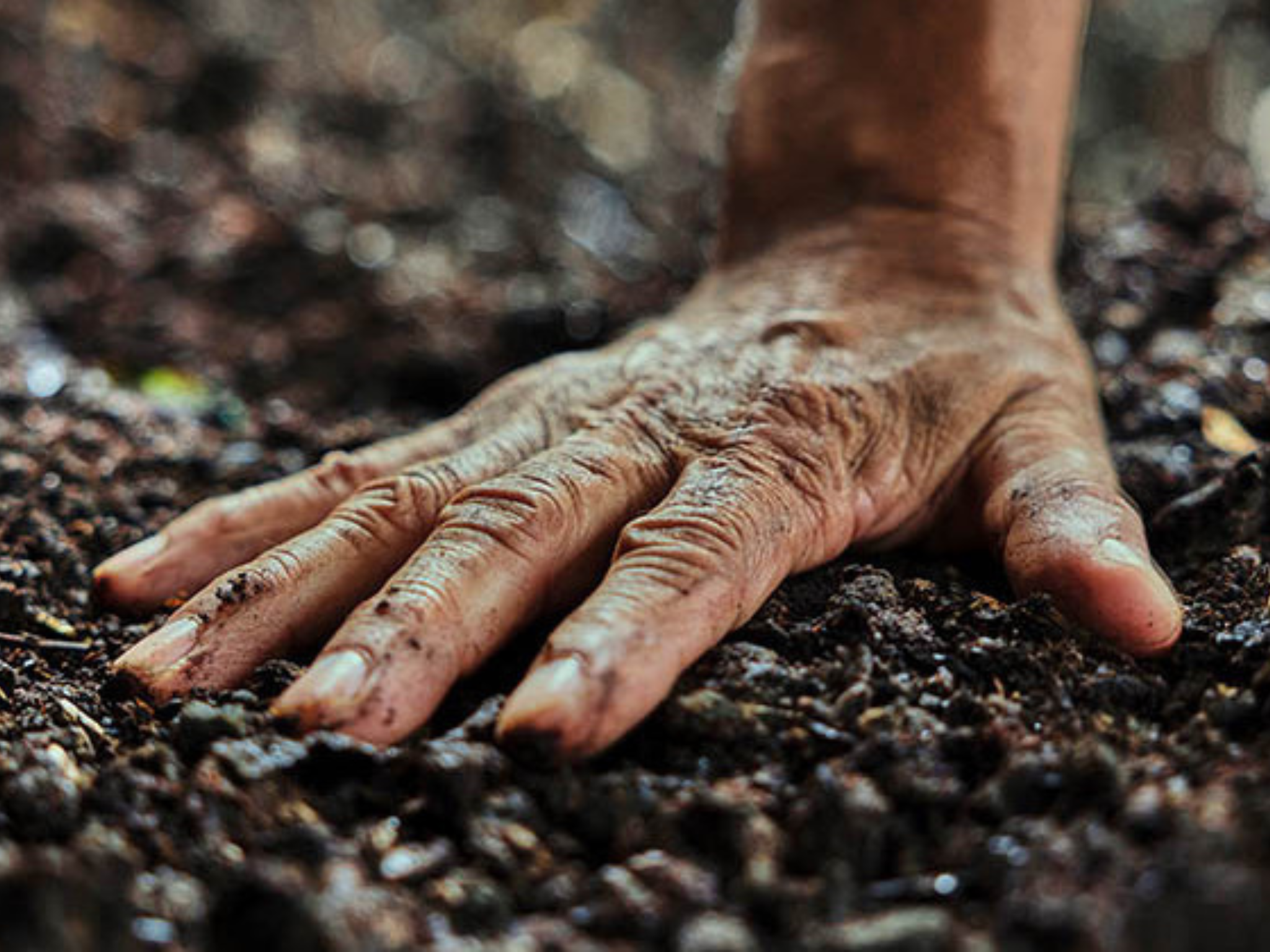Hand touching soil and feeling the Earth's pulse