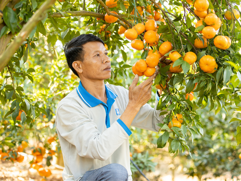 Ông Trương Văn Lưu