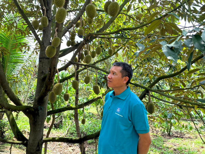 Ông Lưu Tùng Lâm